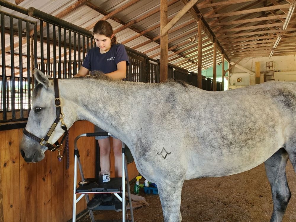 Chloe braiding Barbie Doll's mane